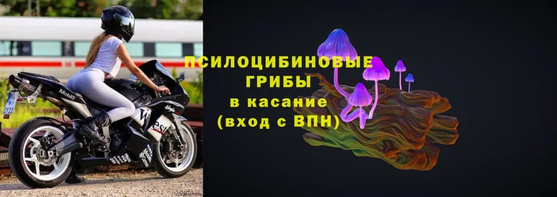 Галлюциногенные грибы MAGIC MUSHROOMS  как найти закладки  Карабаш 